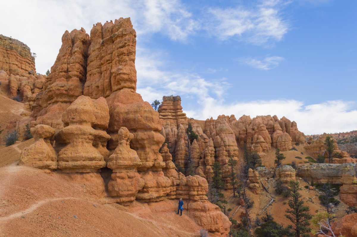 Striking rock formation with pine trees and a blue sky at Red Canyon in the Utah Canyon Country. A young man enjoys the beauty while hiking through the hoodoos.