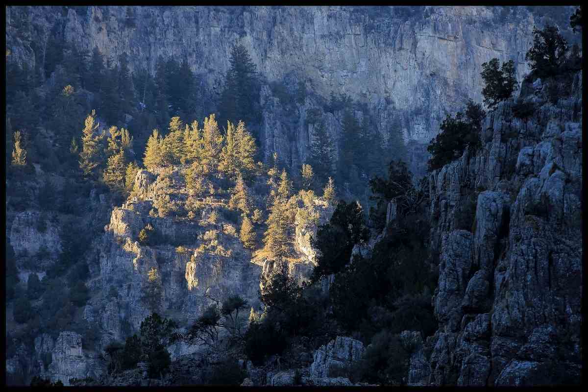 Logan Canyon Ultimate Guide to Visiting Veyo, Utah
