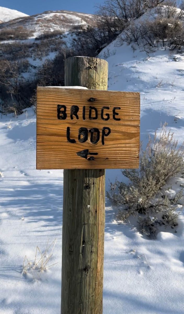 Bridge Loop Sign 