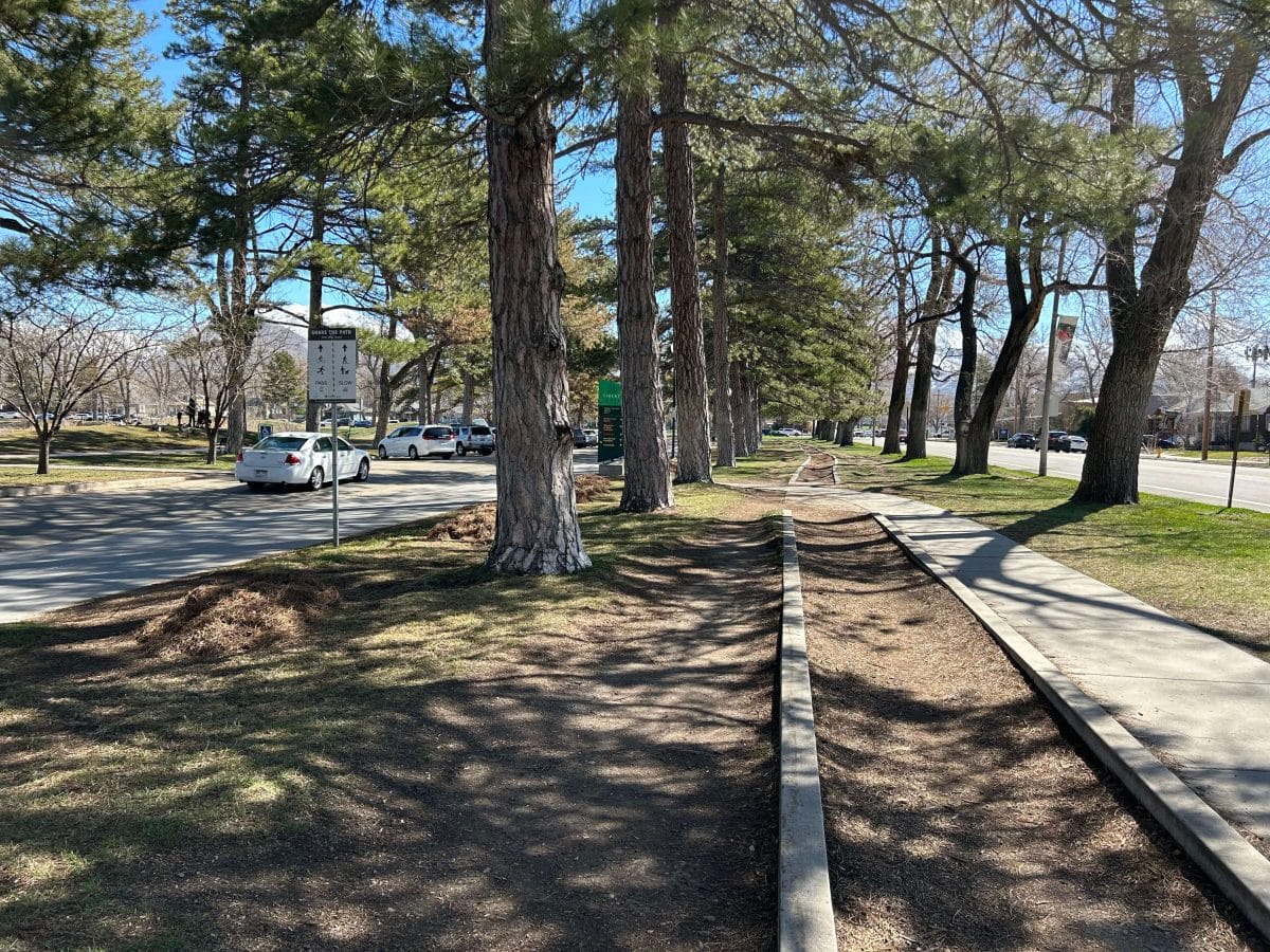 Liberty Park paths