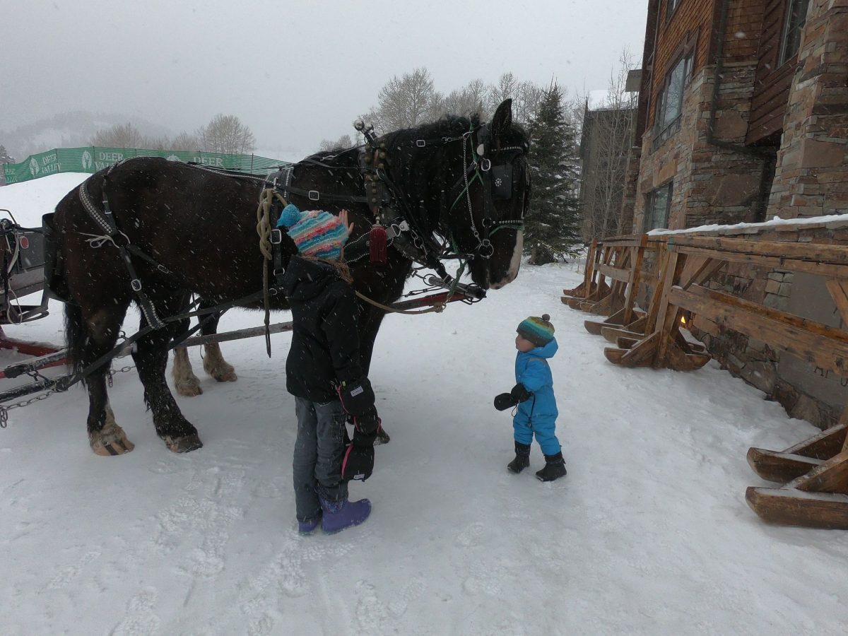 park city sleigh ride with horses